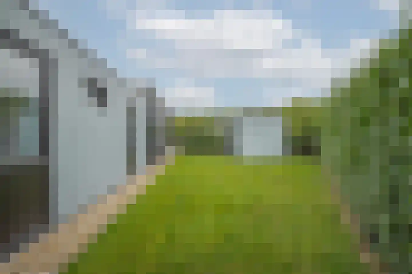 Mettenijedijk 33 085 Nieuwvliet thumbnail 29