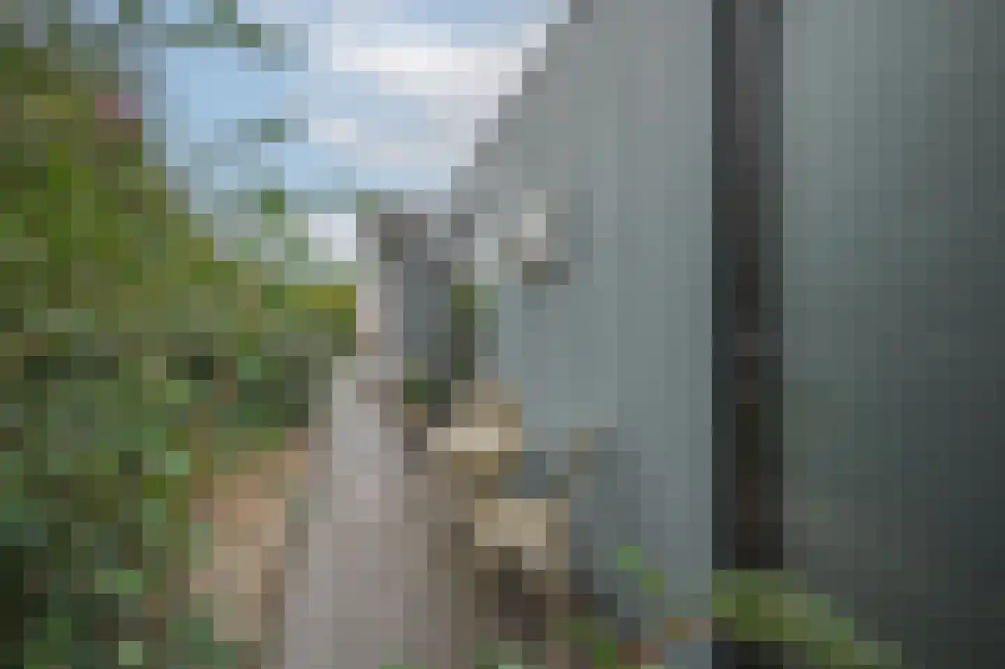 Mettenijedijk 33 085 Nieuwvliet thumbnail 32