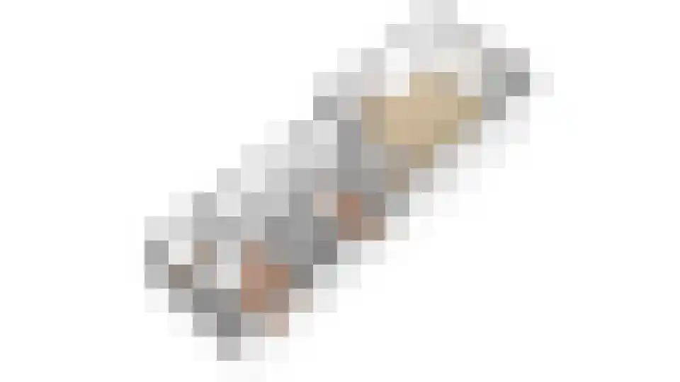 Mettenijedijk 33 085 Nieuwvliet thumbnail 34