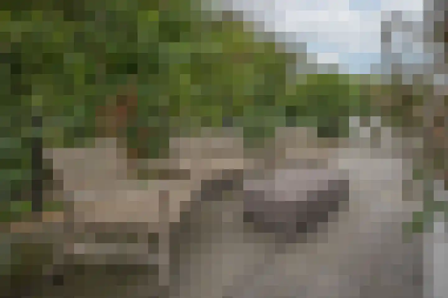 Mettenijedijk 33 085 Nieuwvliet thumbnail 6