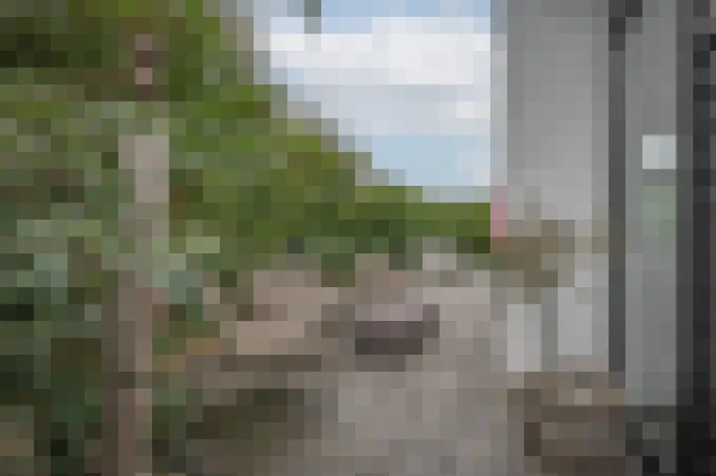 Mettenijedijk 33 085 Nieuwvliet thumbnail 7