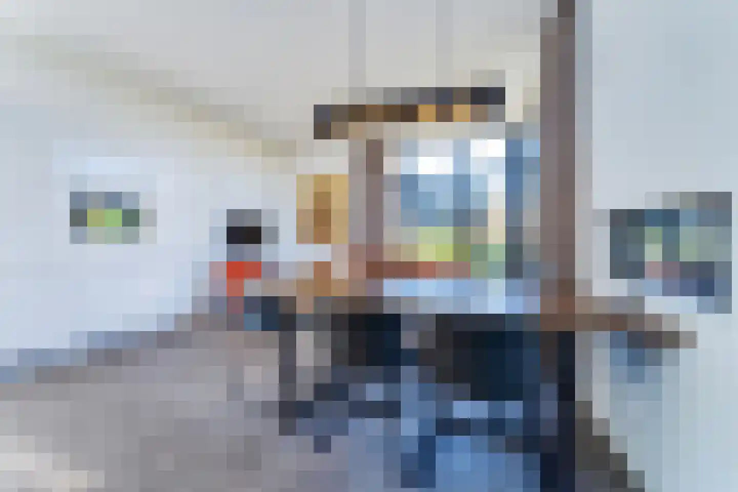Mettenijedijk 33 202 Nieuwvliet thumbnail 10