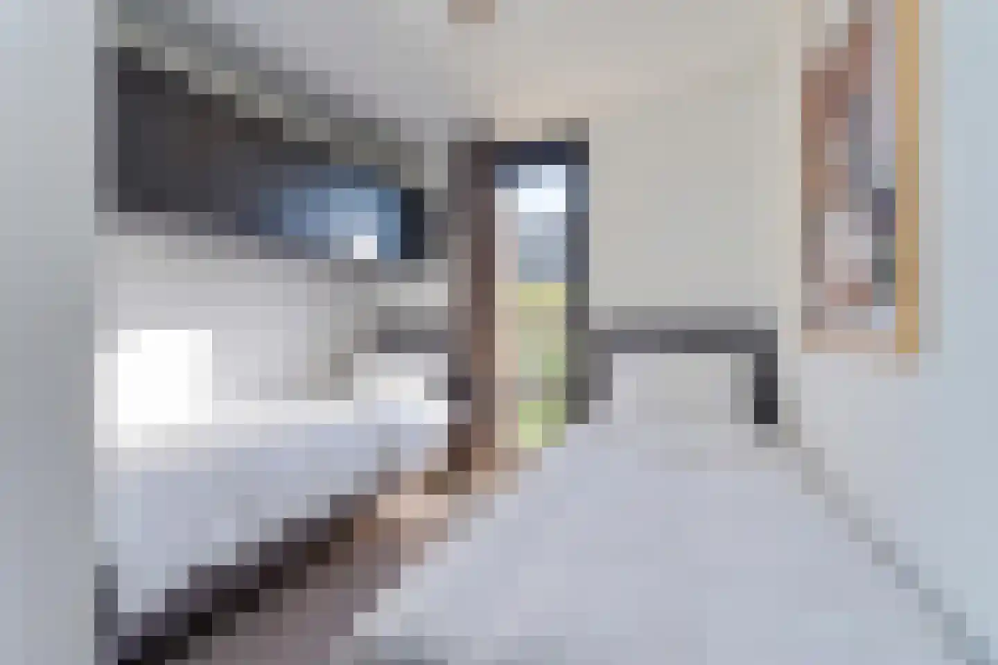 Mettenijedijk 33 202 Nieuwvliet thumbnail 12