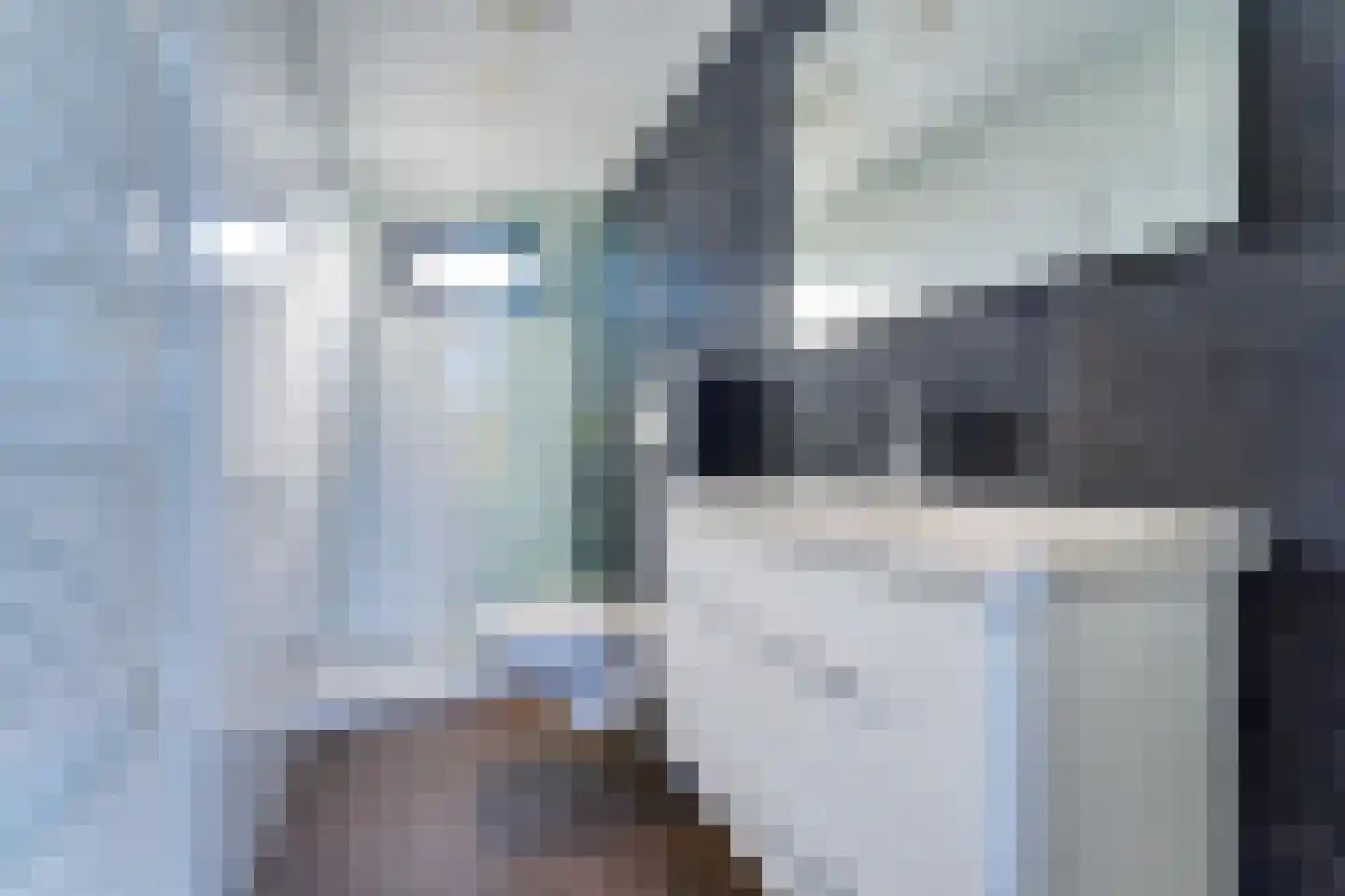 Mettenijedijk 33 202 Nieuwvliet thumbnail 14