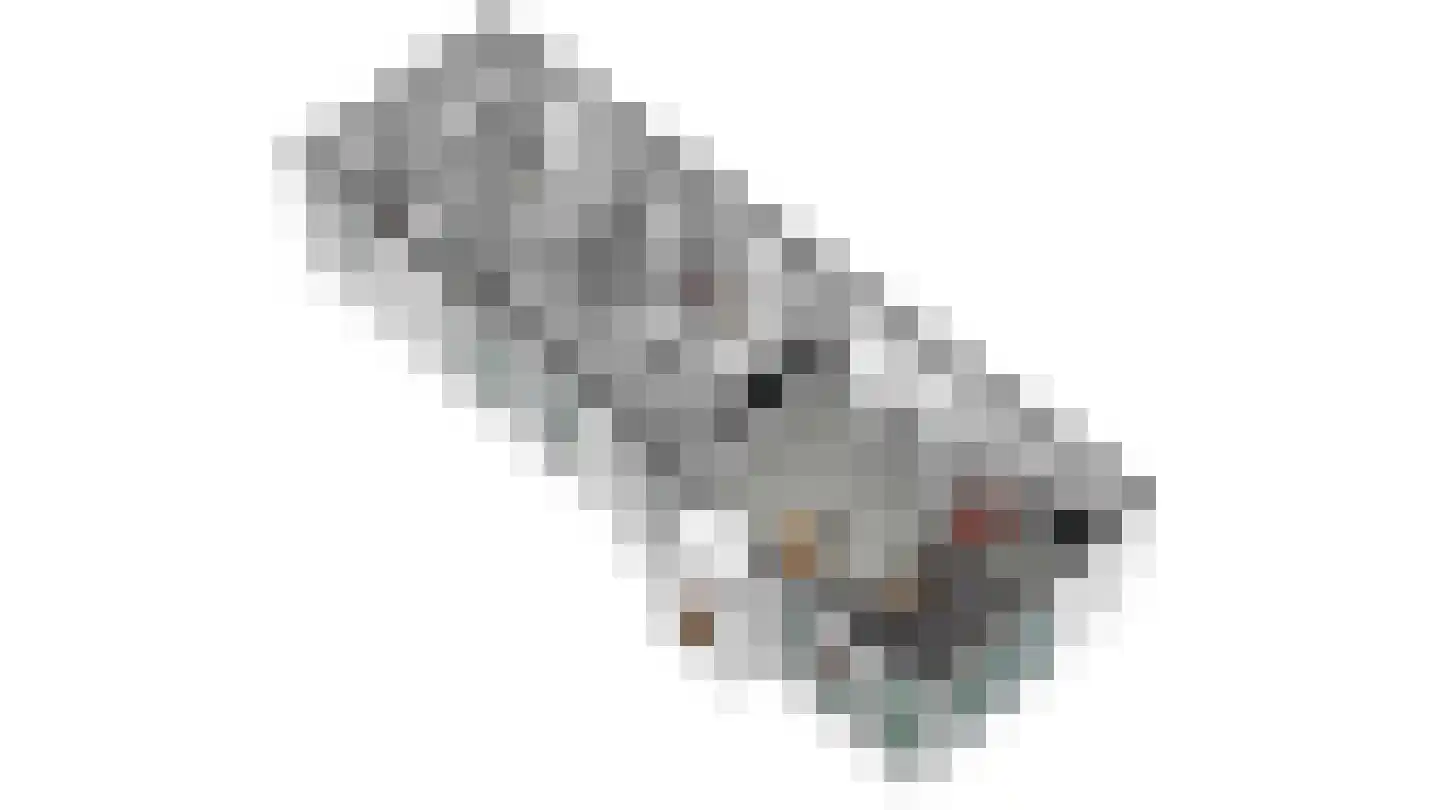 Mettenijedijk 33 202 Nieuwvliet thumbnail 22