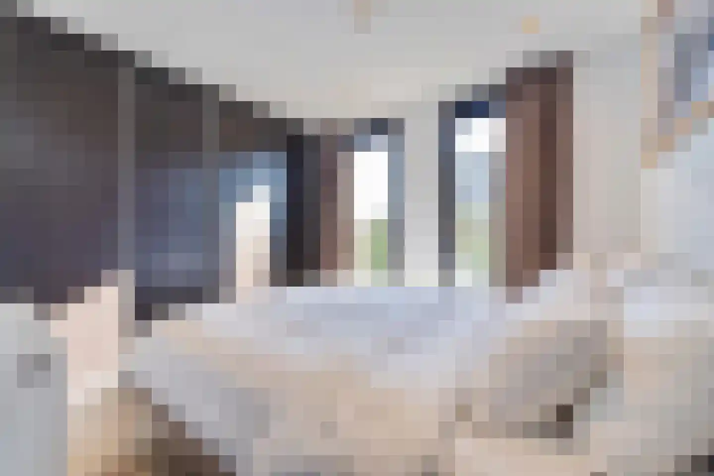 Mettenijedijk 33 202 Nieuwvliet thumbnail 4