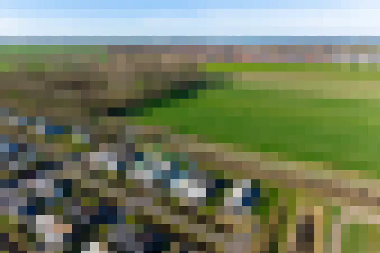 Mettenijedijk 33 202 Nieuwvliet thumbnail 6