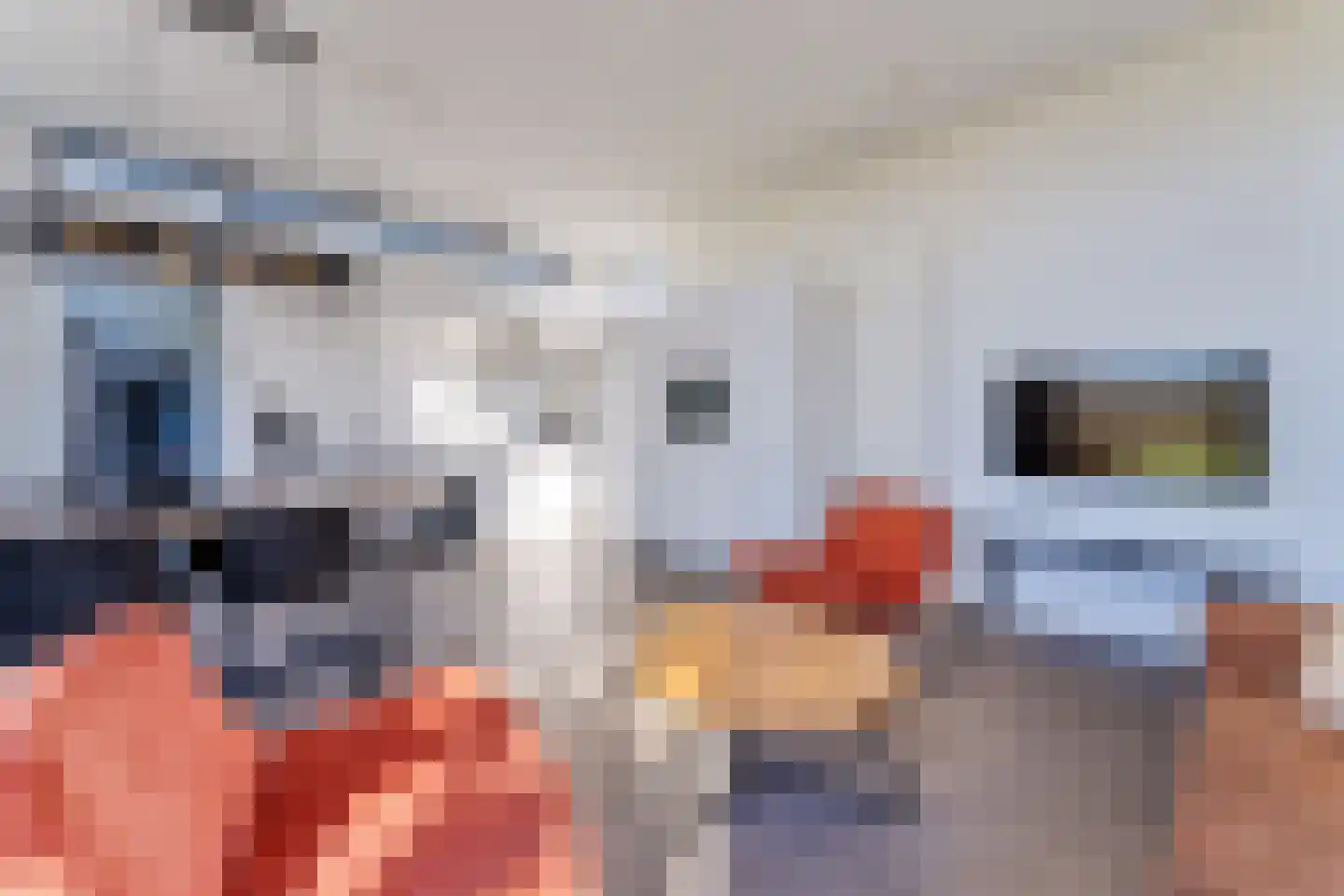 Mettenijedijk 33 202 Nieuwvliet thumbnail 9