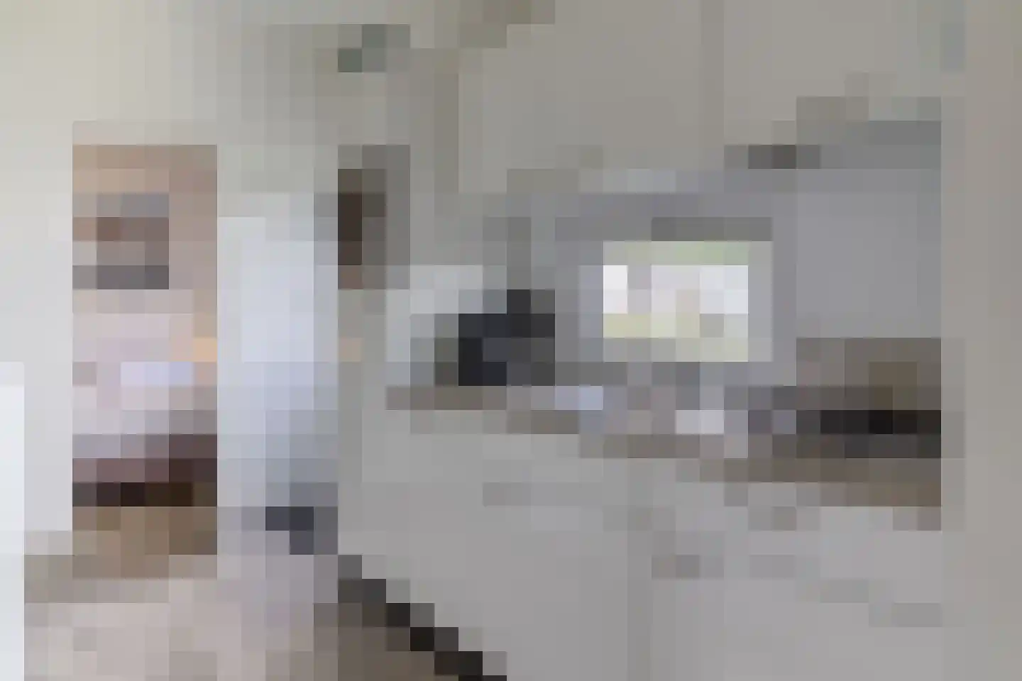 Mettenijedijk 33 210 Nieuwvliet thumbnail 10