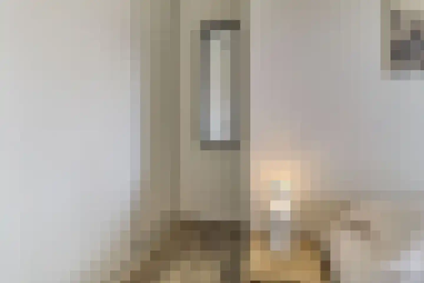 Mettenijedijk 33 210 Nieuwvliet thumbnail 13