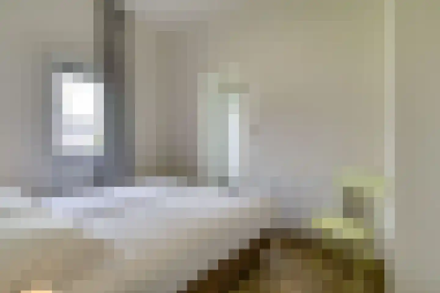 Mettenijedijk 33 210 Nieuwvliet thumbnail 14