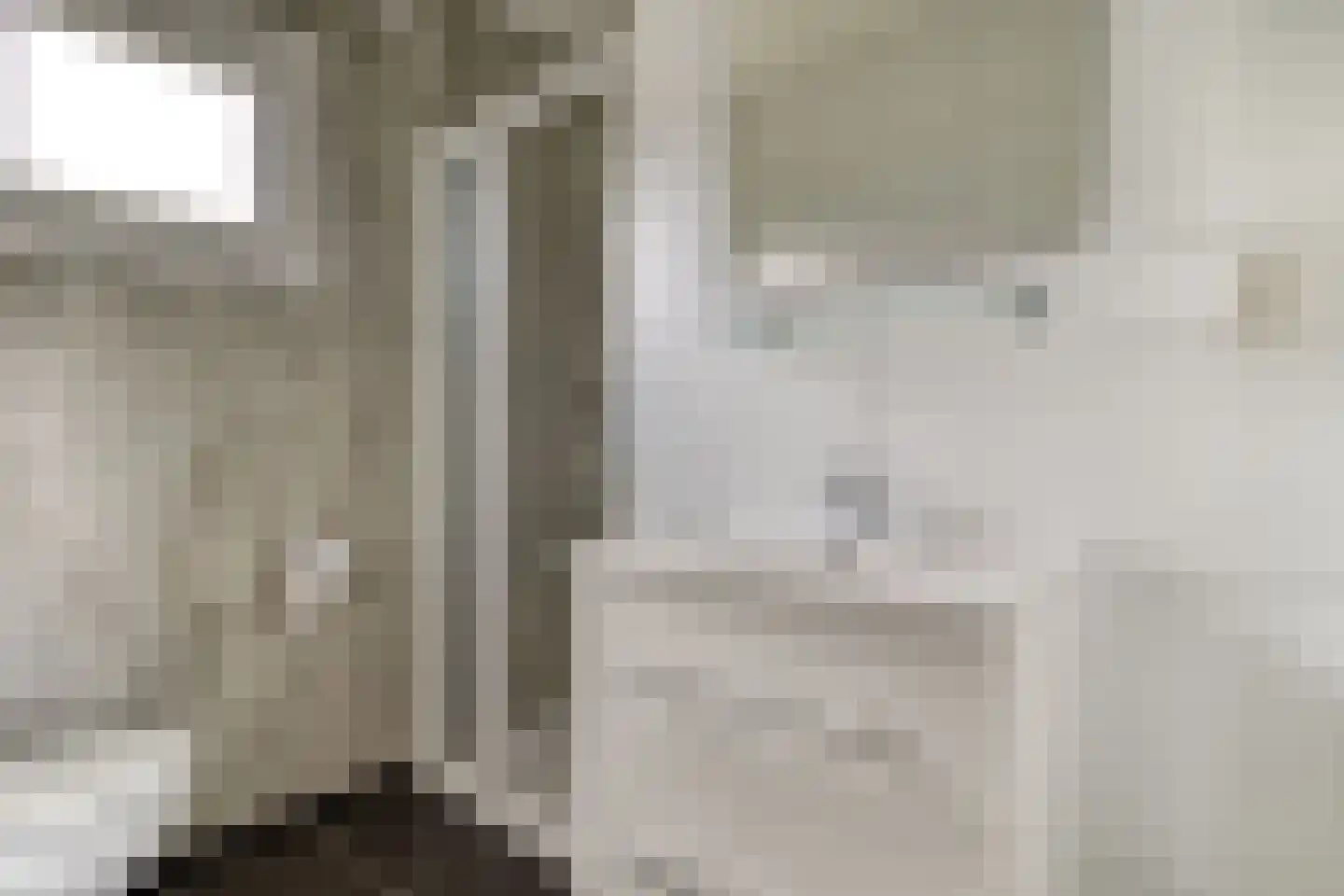 Mettenijedijk 33 210 Nieuwvliet thumbnail 15