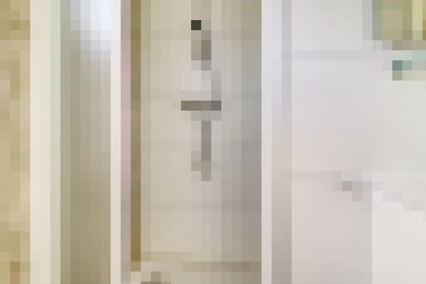 Mettenijedijk 33 210 Nieuwvliet thumbnail 16