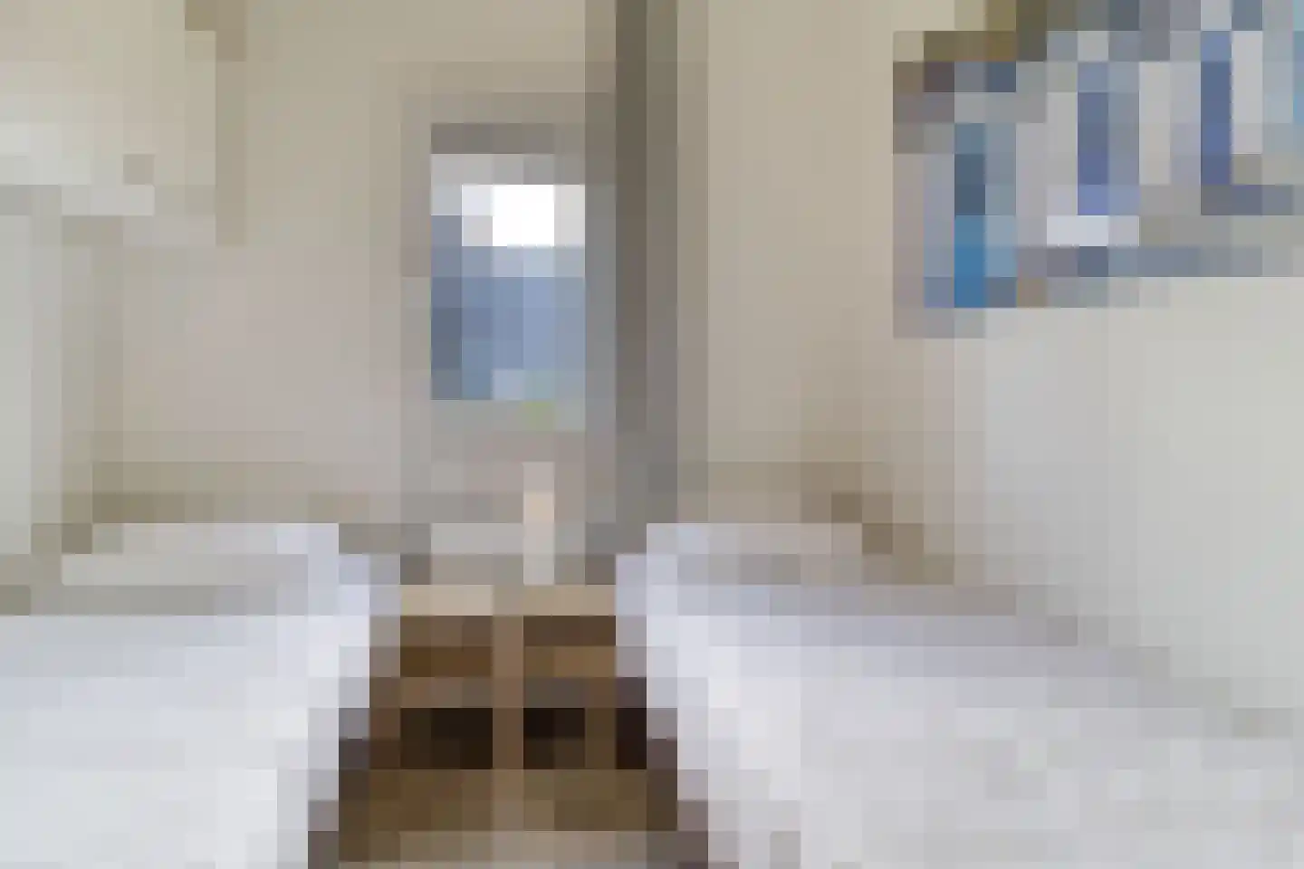 Mettenijedijk 33 210 Nieuwvliet thumbnail 17