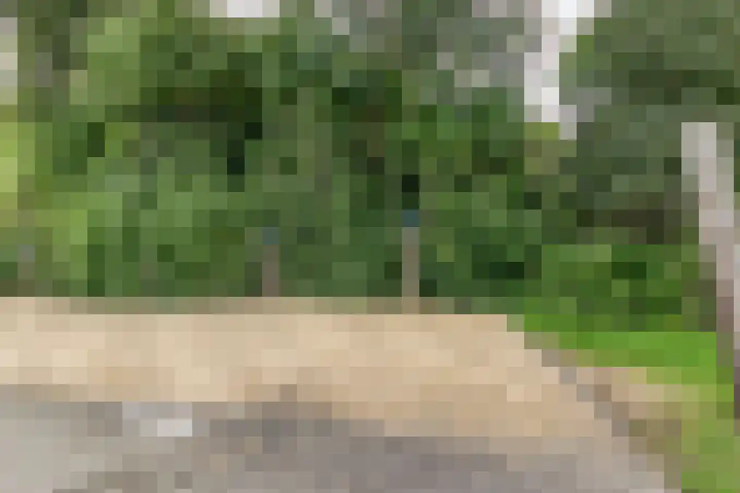 Mettenijedijk 33 210 Nieuwvliet thumbnail 21