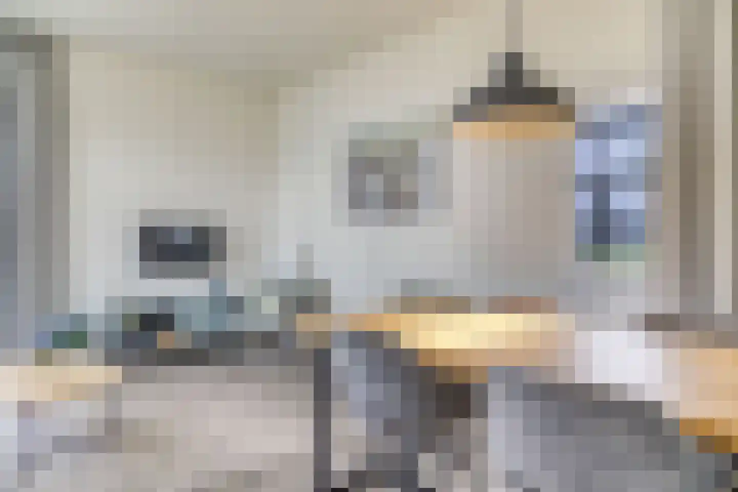 Mettenijedijk 33 210 Nieuwvliet thumbnail 5