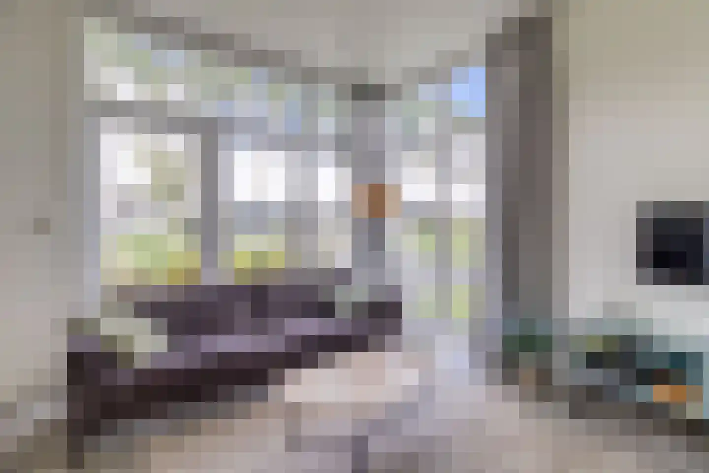 Mettenijedijk 33 210 Nieuwvliet thumbnail 6