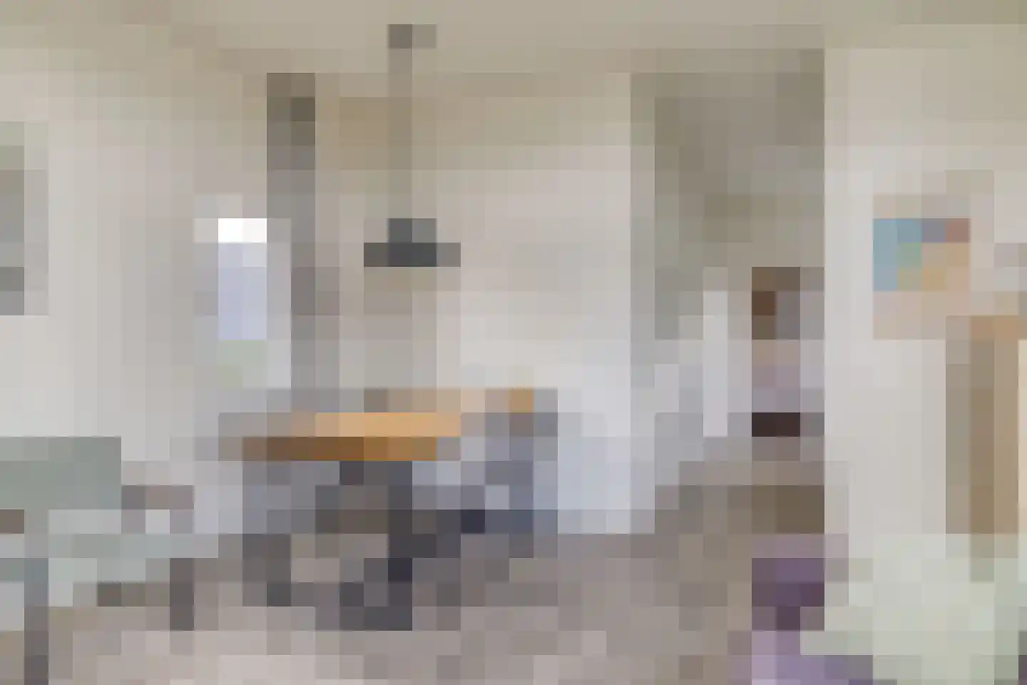 Mettenijedijk 33 210 Nieuwvliet thumbnail 7