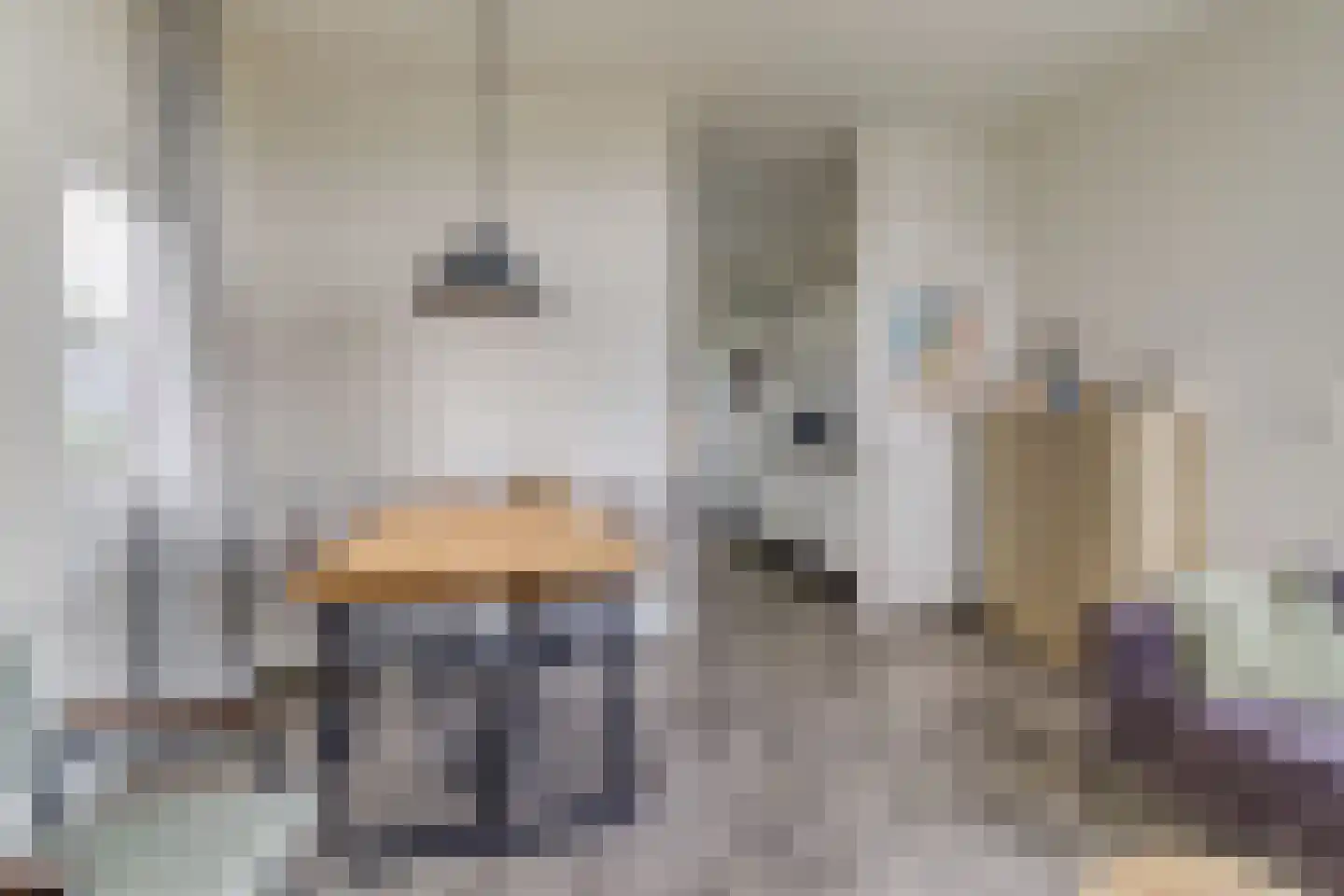 Mettenijedijk 33 210 Nieuwvliet thumbnail 8
