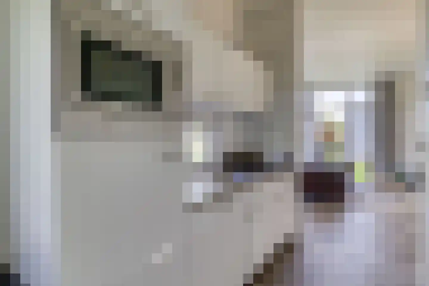 Mettenijedijk 33 210 Nieuwvliet thumbnail 9