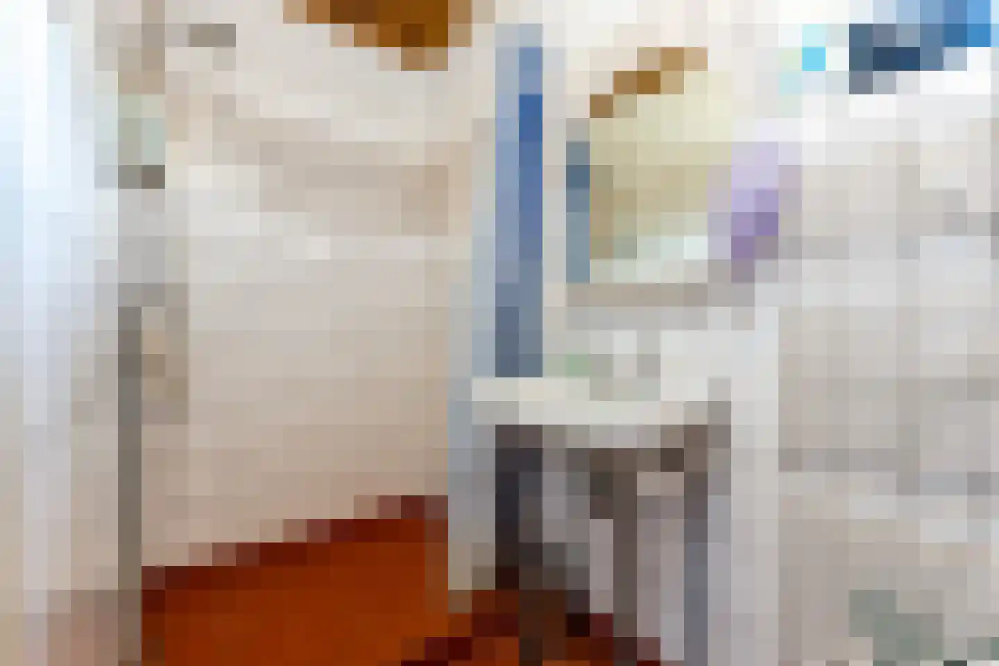 Mettenijedijk 4 A Nieuwvliet thumbnail 12