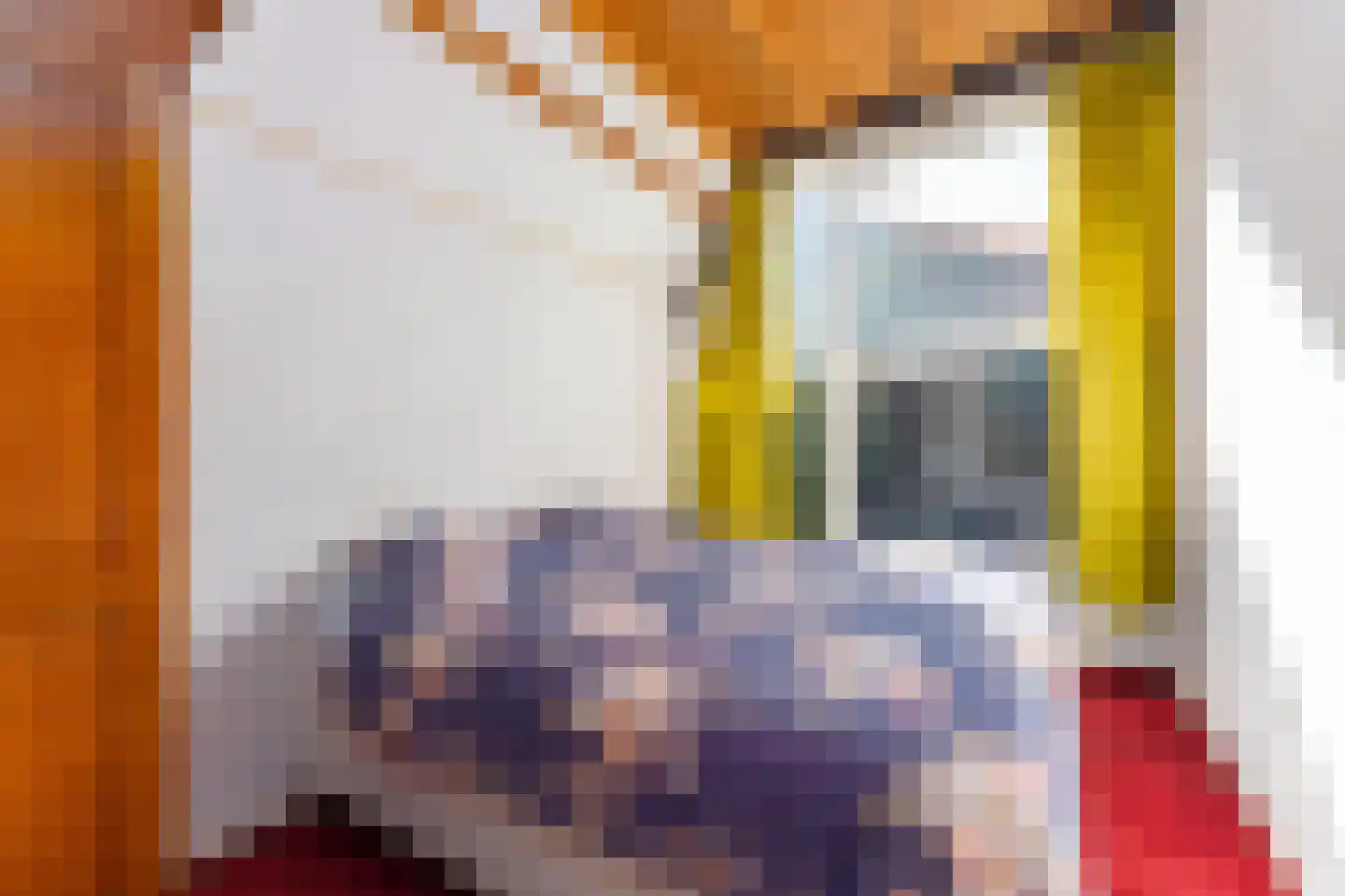 Mettenijedijk 4 A Nieuwvliet thumbnail 14