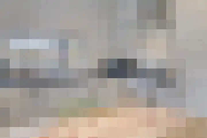 Mettenijedijk 59 Nieuwvliet thumbnail 10