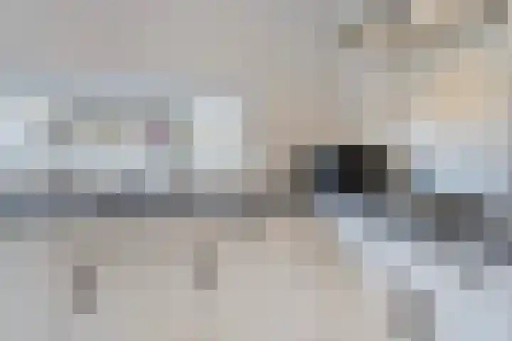 Mettenijedijk 59 Nieuwvliet thumbnail 11