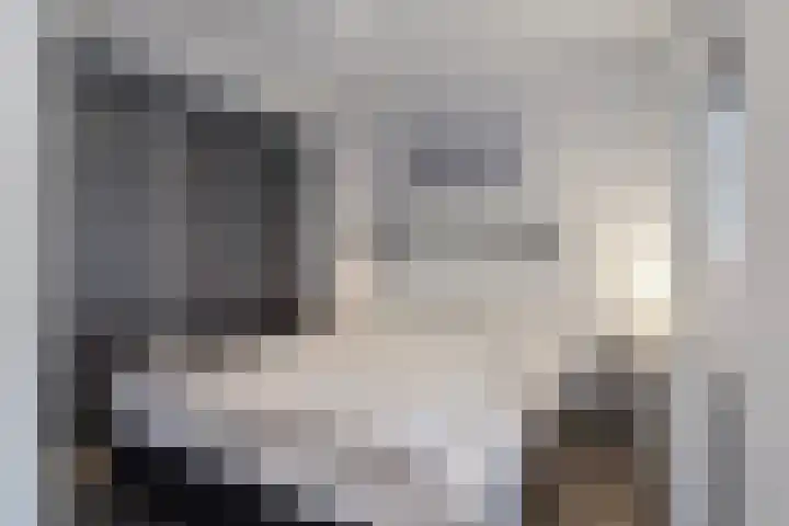 Mettenijedijk 59 Nieuwvliet thumbnail 12