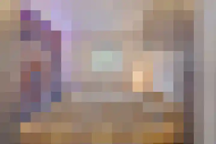 Mettenijedijk 59 Nieuwvliet thumbnail 13