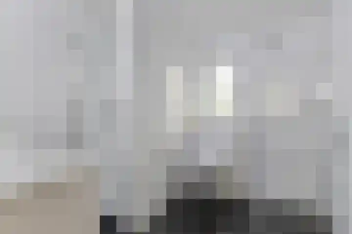 Mettenijedijk 59 Nieuwvliet thumbnail 15