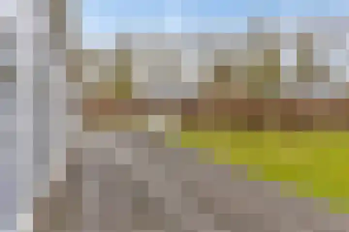 Mettenijedijk 59 Nieuwvliet thumbnail 16
