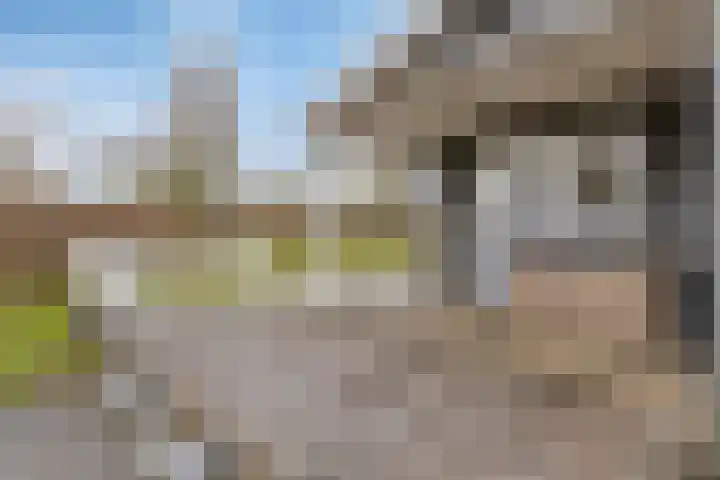 Mettenijedijk 59 Nieuwvliet thumbnail 17