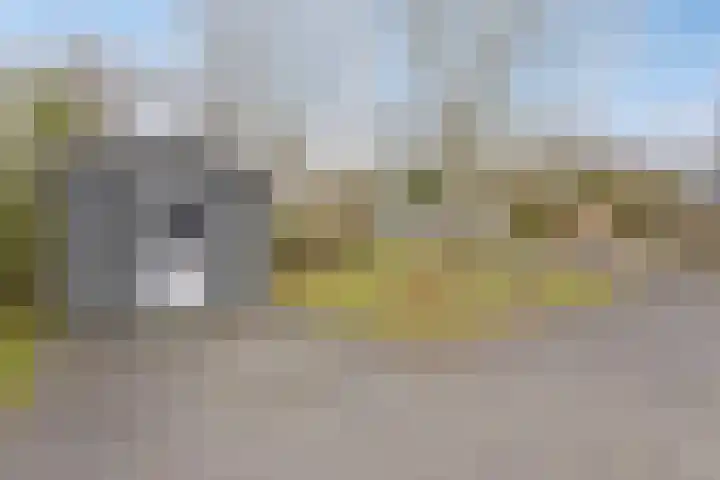 Mettenijedijk 59 Nieuwvliet thumbnail 18