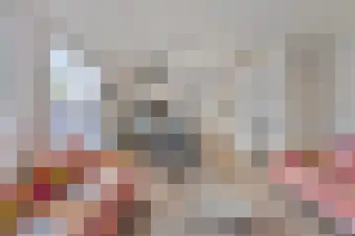 Mettenijedijk 59 Nieuwvliet thumbnail 6