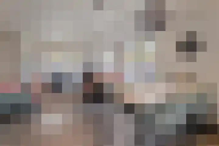 Mettenijedijk 59 Nieuwvliet thumbnail 7
