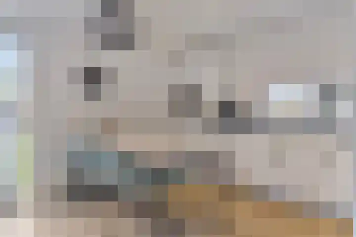 Mettenijedijk 59 Nieuwvliet thumbnail 8