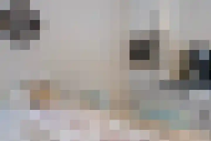 Mettenijedijk 59 Nieuwvliet thumbnail 9