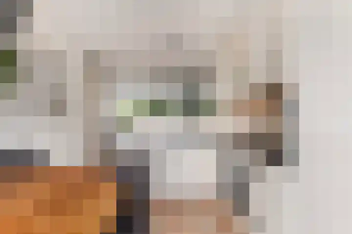 Mettingenlaan 44 Raalte thumbnail 12