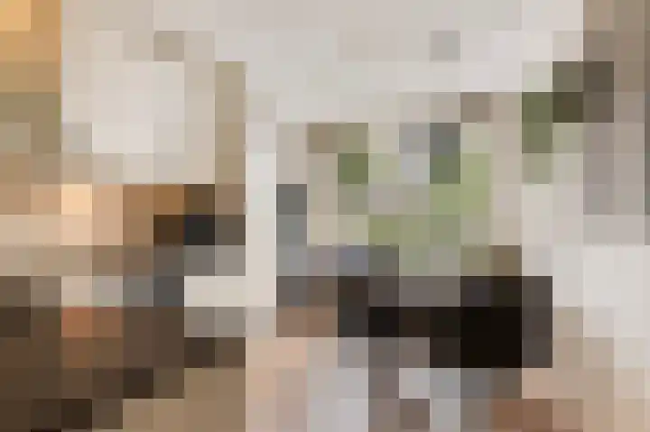 Mettingenlaan 44 Raalte thumbnail 13