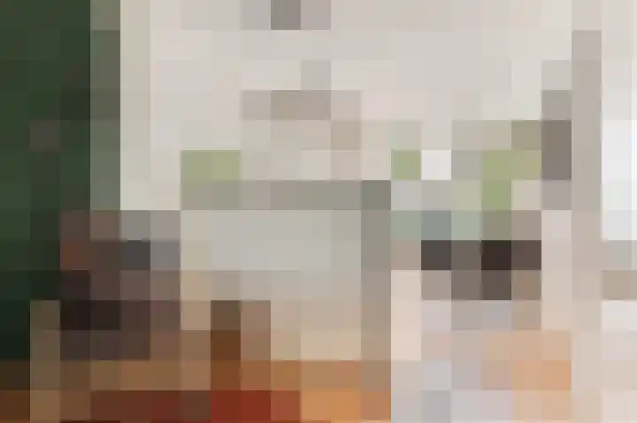 Mettingenlaan 44 Raalte thumbnail 14