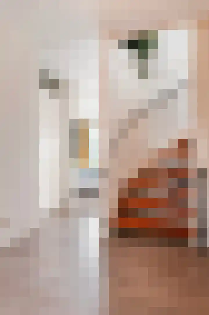 Mettingenlaan 44 Raalte thumbnail 18