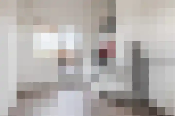 Mettingenlaan 44 Raalte thumbnail 30