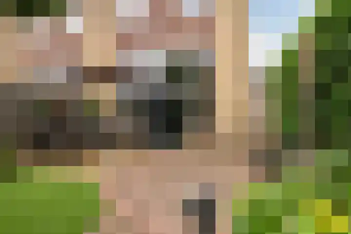 Mettingenlaan 44 Raalte thumbnail 33