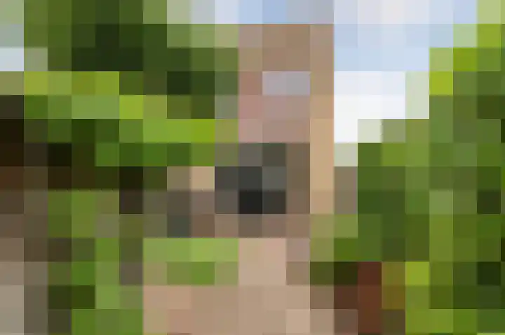 Mettingenlaan 44 Raalte thumbnail 34
