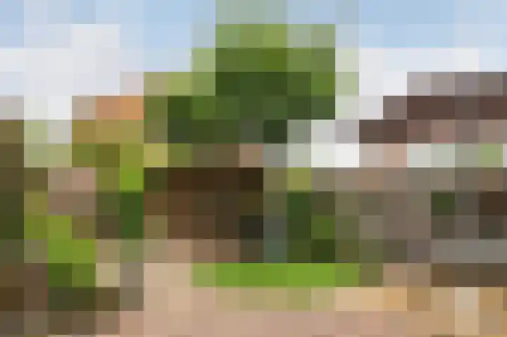 Mettingenlaan 44 Raalte thumbnail 35