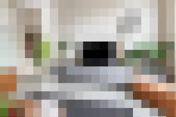 Mettingenlaan 44 Raalte thumbnail 9
