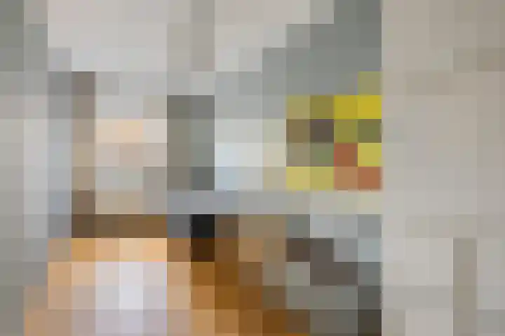 Mettingenlaan 50 Raalte thumbnail 14