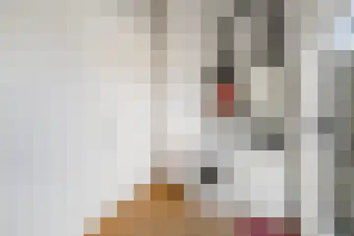 Mettingenlaan 50 Raalte thumbnail 18