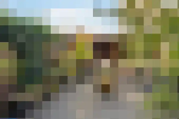Mettingenlaan 50 Raalte thumbnail 22